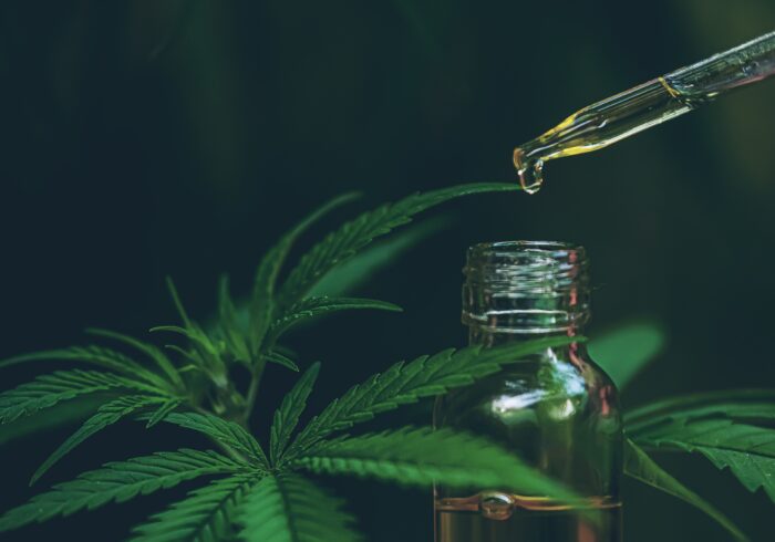 CBD Olje Norge